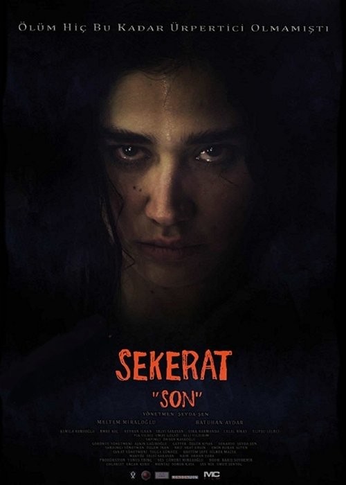 دانلود فیلم Sekerat Son 2016 آخرین نقاشی
