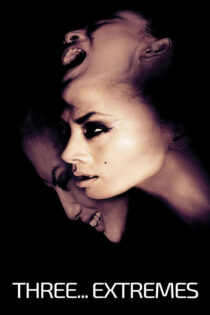 دانلود فیلم Three… Extremes 2004 سه… بی‌نهایت