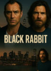 دانلود سریال Black Rabbit 2025 خرگوش سیاه دانلود سریال Black Rabbit 2025 خرگوش سیاه