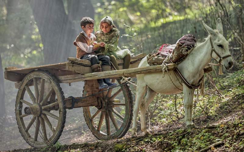 دانلود فیلم روماک