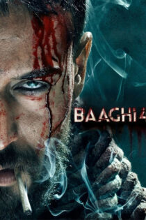 دانلود فیلم Baaghi 4 2025 شورشی 4 دانلود فیلم Baaghi 4 2025 شورشی 4