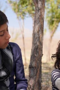 دانلود فیلم موی گرگ