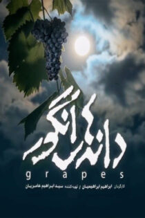 دانلود فیلم دانه های انگور دانلود فیلم دانه های انگور