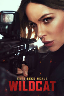 دانلود فیلم Wildcat 2025 گربه وحشی